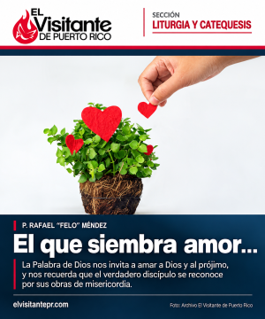 El que siembra amor… El que siembra amor…